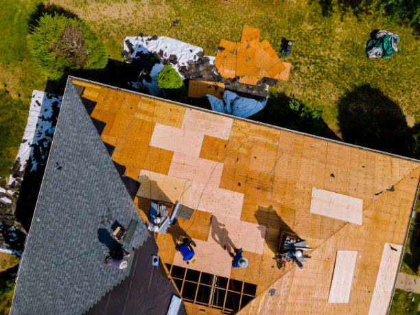 Best Storm Damage Roof Repair  in Thorsby, AL
